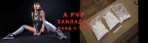 стафф Арсеньев