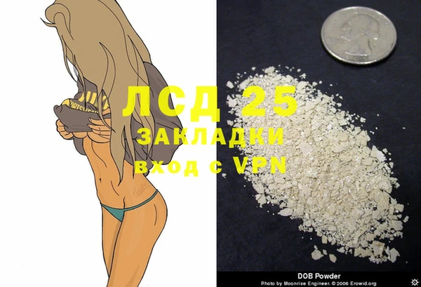стафф Арсеньев