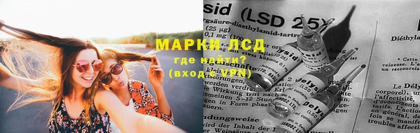 стафф Арсеньев