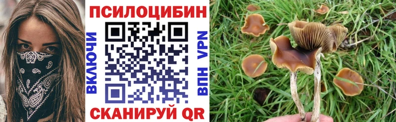 KRAKEN рабочий сайт  Льгов  Псилоцибиновые грибы прущие грибы  купить закладку 